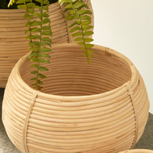 Load image into Gallery viewer, CANE RATTAN PLANT BASKETS, SET OF 3
