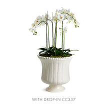 Load image into Gallery viewer, COLETTA GRANDE FLARED VASE
