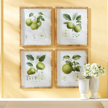 Load image into Gallery viewer, FRUIT STUDY, SET OF 4
