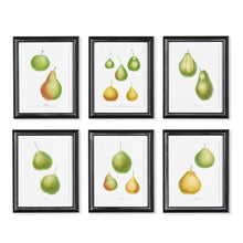 Load image into Gallery viewer, PEAR STUDY, SET OF 6
