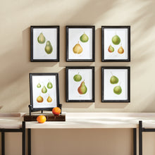 Load image into Gallery viewer, PEAR STUDY, SET OF 6
