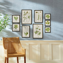 Load image into Gallery viewer, FOLIAGE PRINTS, SET OF 9

