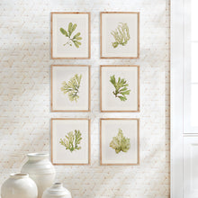 Load image into Gallery viewer, KELP PRINTS, SET OF 6

