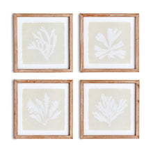 Load image into Gallery viewer, SEAWEED PETITE PRINTS, SET OF 4
