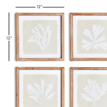 Load image into Gallery viewer, SEAWEED PETITE PRINTS, SET OF 4

