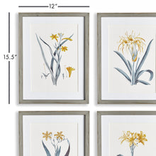 Load image into Gallery viewer, DAFFODIL PRINTS, SET OF 4

