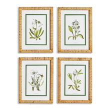 Load image into Gallery viewer, WHITE FLORAL STUDY, SET OF 4
