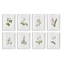 Load image into Gallery viewer, FLOWERS IN BLOOM PETITE PRINTS, SET OF 8
