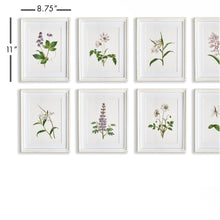Load image into Gallery viewer, FLOWERS IN BLOOM PETITE PRINTS, SET OF 8
