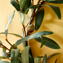 Load image into Gallery viewer, OLIVE WREATH WITH OLIVES 16"
