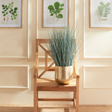 Load image into Gallery viewer, BLUE OAT GRASS DROP-IN 32"
