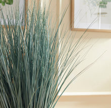 Load image into Gallery viewer, BLUE OAT GRASS DROP-IN 32"
