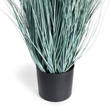 Load image into Gallery viewer, BLUE OAT GRASS DROP-IN 32"
