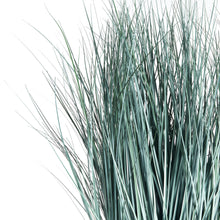 Load image into Gallery viewer, BLUE OAT GRASS DROP-IN 32"
