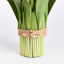 Load image into Gallery viewer, PEONY TULIP DROP-IN 19"
