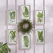 Load image into Gallery viewer, FERN WREATH 18"
