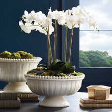 Load image into Gallery viewer, COLETTA DECORATIVE FOOTED LOW BOWL
