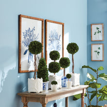 Load image into Gallery viewer, BANKSIA BOUQUET PRINTS, SET OF 2
