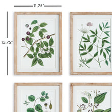 Load image into Gallery viewer, VERDANT BRANCH PRINTS, SET OF 4
