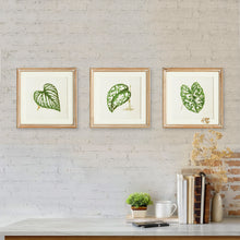 Load image into Gallery viewer, LEAF CUTTINGS PETITE PRINTS, SET OF 3
