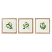 Load image into Gallery viewer, LEAF CUTTINGS PETITE PRINTS, SET OF 3
