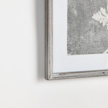 Load image into Gallery viewer, BLOOMING QUEEN ANNE'S LACE PRINTS, SET OF 2
