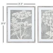 Load image into Gallery viewer, BLOOMING QUEEN ANNE'S LACE PRINTS, SET OF 2
