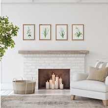 Load image into Gallery viewer, GARDEN BLOOM PRINTS, SET OF 4
