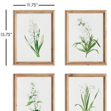 Load image into Gallery viewer, GARDEN BLOOM PRINTS, SET OF 4
