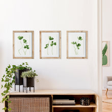 Load image into Gallery viewer, CLOVER CUTTINGS PETITE PRINTS, SET OF 3
