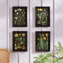 Load image into Gallery viewer, GOLDEN BOTANICAL STUDY, SET OF 4
