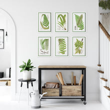Load image into Gallery viewer, LAYERED FERN PRINTS, SET OF 6
