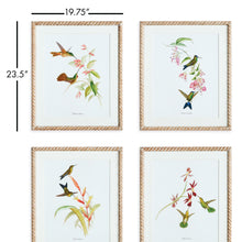 Load image into Gallery viewer, PLAYFUL HUMMINGBIRD PRINTS, SET OF 4
