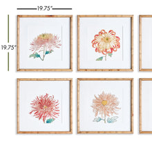 Load image into Gallery viewer, COLORFUL CHRYSANTHEMUM PRINTS, SET OF 6
