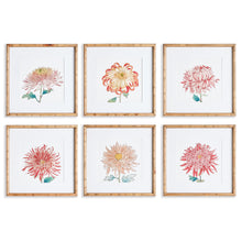 Load image into Gallery viewer, COLORFUL CHRYSANTHEMUM PRINTS, SET OF 6
