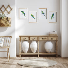 Load image into Gallery viewer, COLORFUL PARROT PRINTS, SET OF 4
