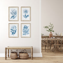 Load image into Gallery viewer, INDIGO PROTEA PRINTS, SET OF 4
