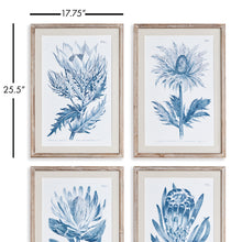 Load image into Gallery viewer, INDIGO PROTEA PRINTS, SET OF 4
