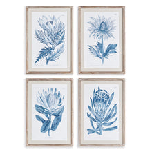 Load image into Gallery viewer, INDIGO PROTEA PRINTS, SET OF 4
