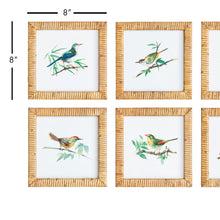 Load image into Gallery viewer, SONGBIRD PETITE PRINTS, SET OF 6
