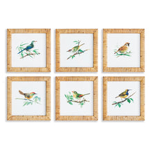 Load image into Gallery viewer, SONGBIRD PETITE PRINTS, SET OF 6
