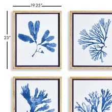 Load image into Gallery viewer, INDIGO SEAWEED PRINTS, SET OF 4
