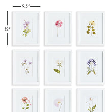 Load image into Gallery viewer, MOUNTAIN FLOWER PETITE PRINTS, SET OF 9
