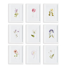 Load image into Gallery viewer, MOUNTAIN FLOWER PETITE PRINTS, SET OF 9
