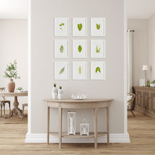 Load image into Gallery viewer, GREEN LEAF PETITE PRINTS, SET OF 9
