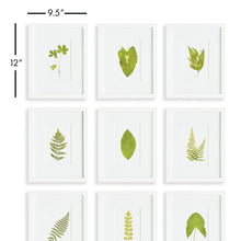 Load image into Gallery viewer, GREEN LEAF PETITE PRINTS, SET OF 9
