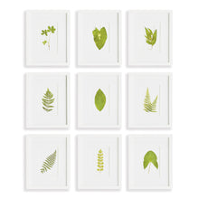 Load image into Gallery viewer, GREEN LEAF PETITE PRINTS, SET OF 9
