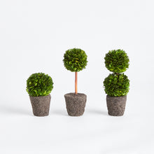Load image into Gallery viewer, BOXWOOD MINI TOPIARY DROP-INS, SET OF 3
