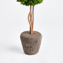 Load image into Gallery viewer, BOXWOOD SINGLE SPHERE TOPIARY DROP-IN 16"
