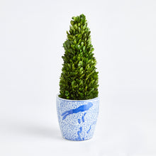 Load image into Gallery viewer, BOXWOOD CONE TOPIARY DROP-IN 16"
